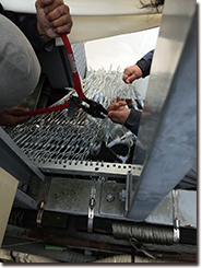 自由が丘デパートXmas-3