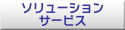 ソリューション サービス